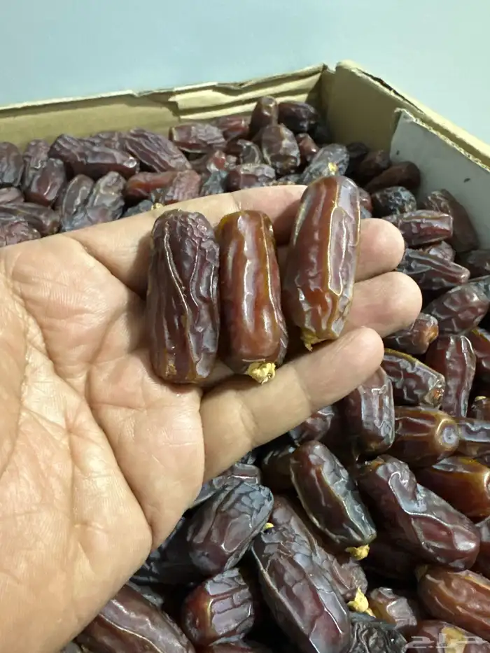 مبروم تمر مبروم فاخر للبيع. الكمية طن ونص. 0