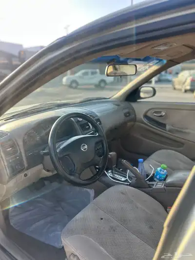 مكسيما 2008 index