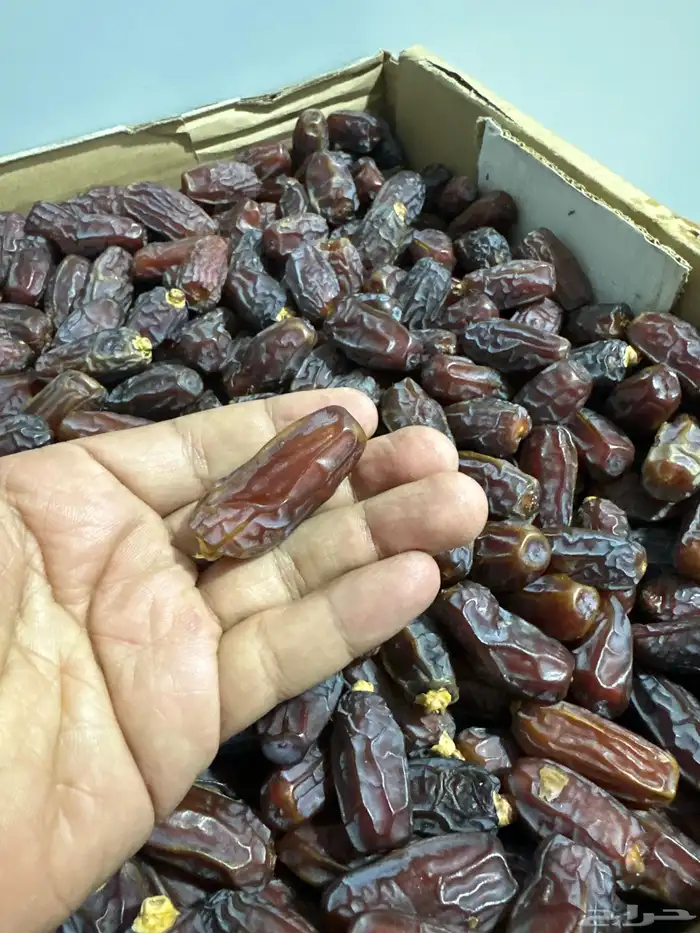 مبروم تمر مبروم فاخر للبيع. الكمية طن ونص. 1