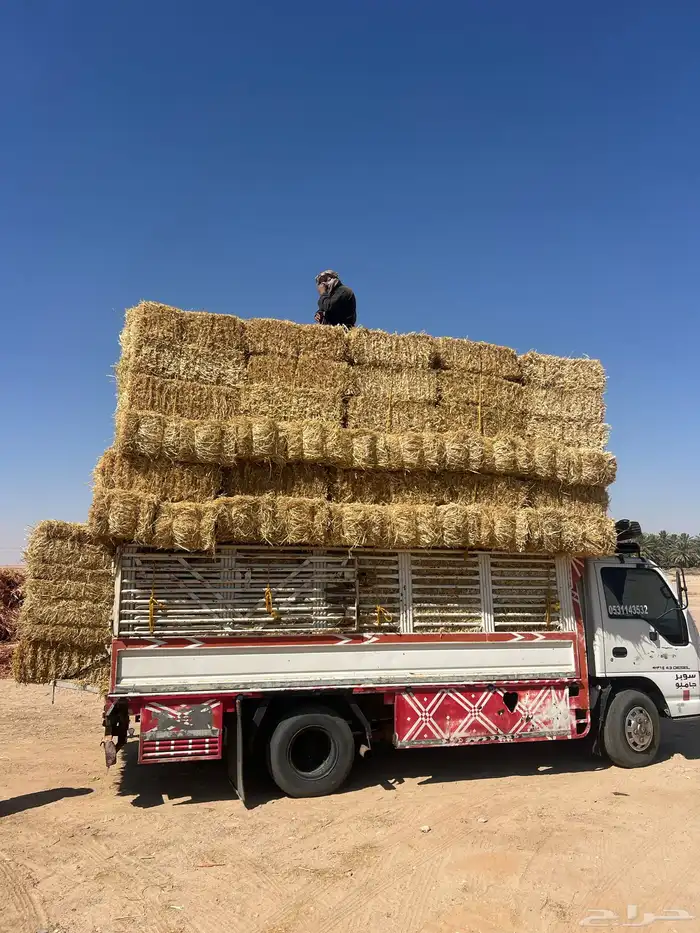 تبن بر صافي 2