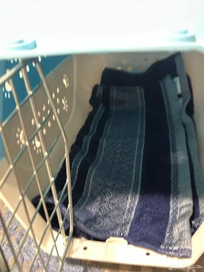 مستلزمات للقطط 3