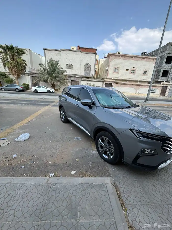 تيرتوري 2024 للتنازل 1