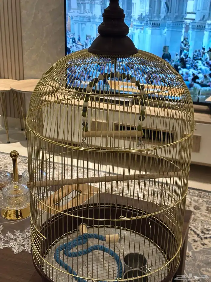 مستلزمات الاحيوانات 1