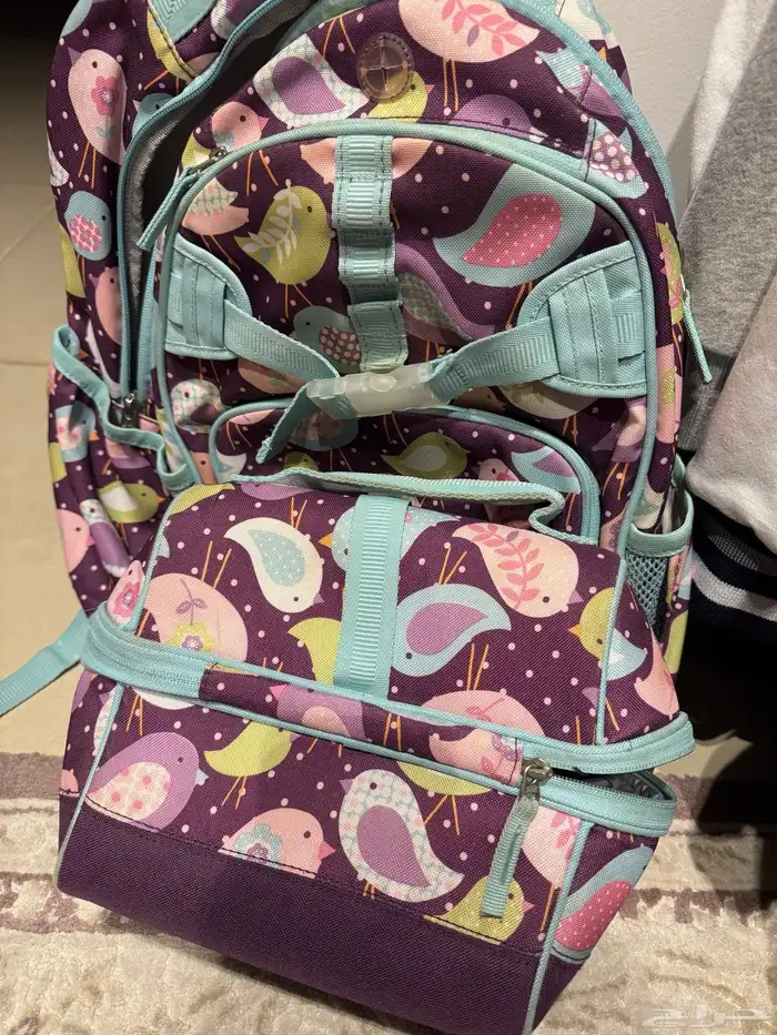 شنطه مع اللانش بوكس من بوتري بارن 2