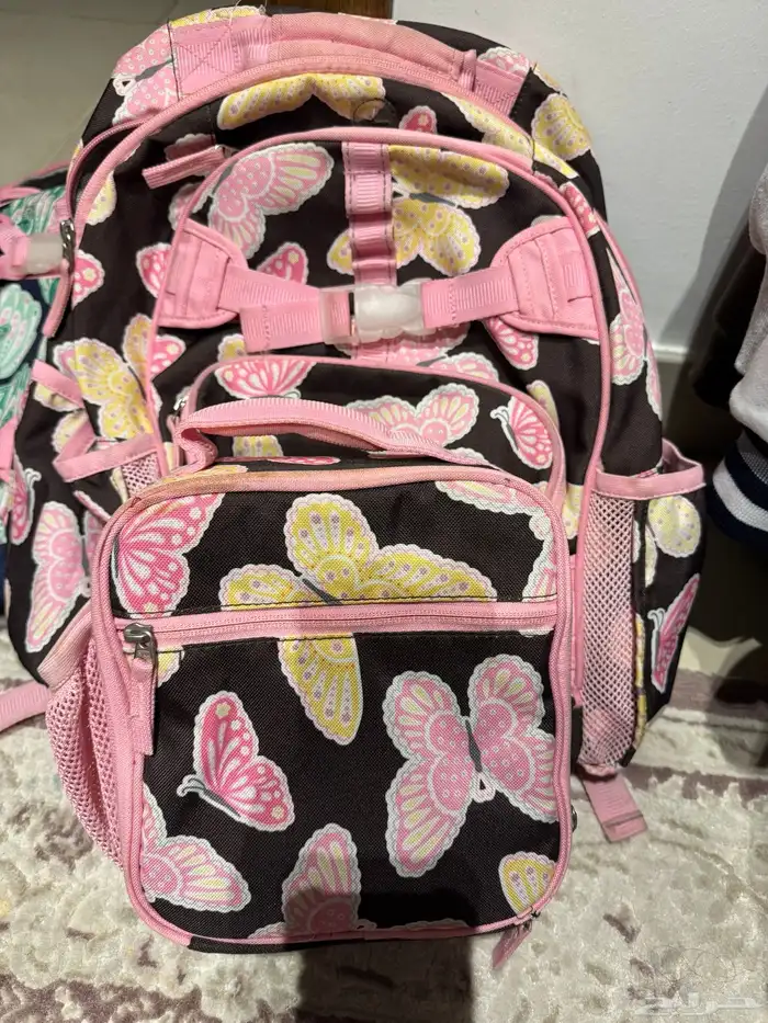 شنطه مع اللانش بوكس من بوتري بارن 1