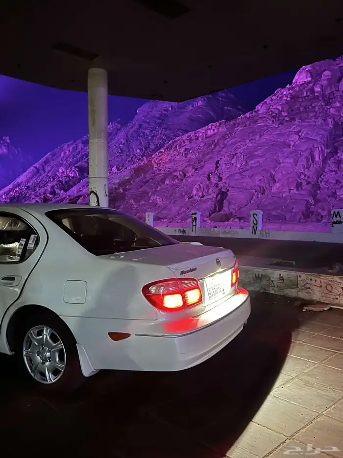 طيش مكسيما 0