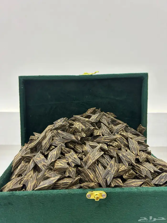 تايقر فيتنامي رقم 1 بسعر جملة 1