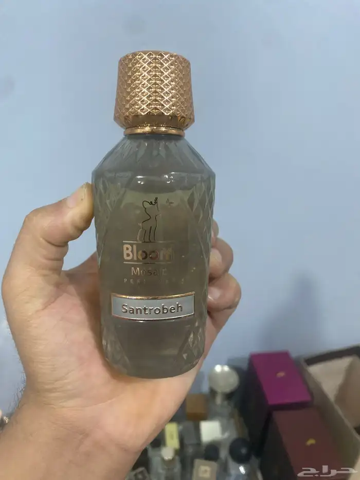 تم البيع الله يبارك لراعيه 0