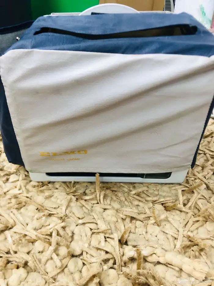 كامرات قديمه 6