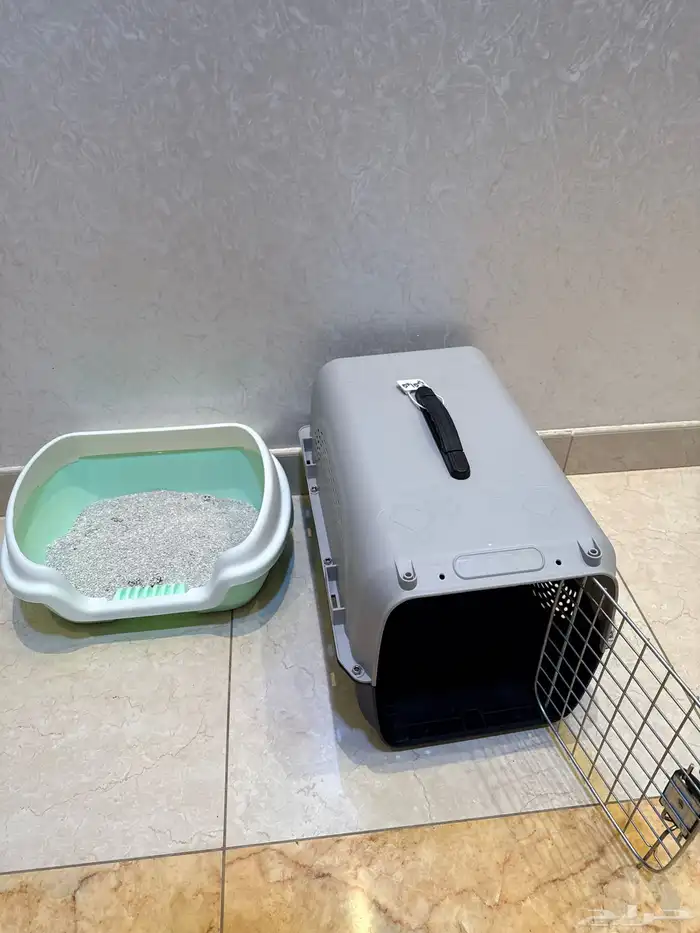 قطوة للتبني 3