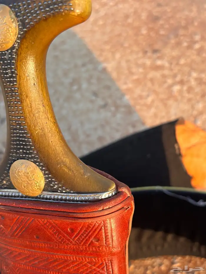 جنبيه وتر جبره 6