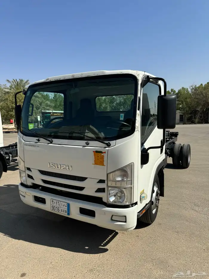 دينا ايسوزو عدد 2 1