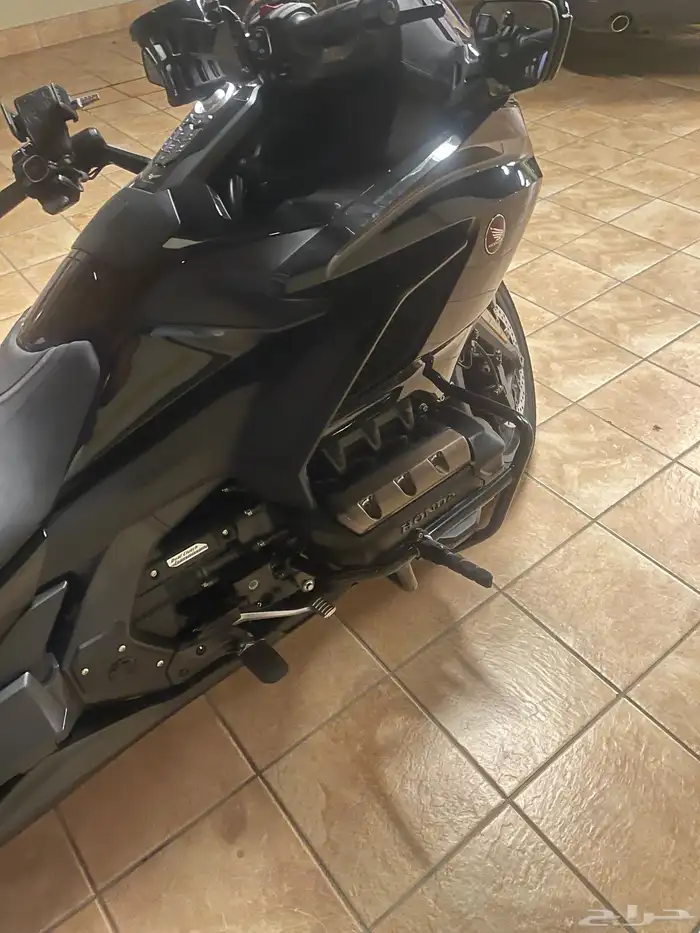 قولد وينج 2023 فل عبدالله هاشم 9