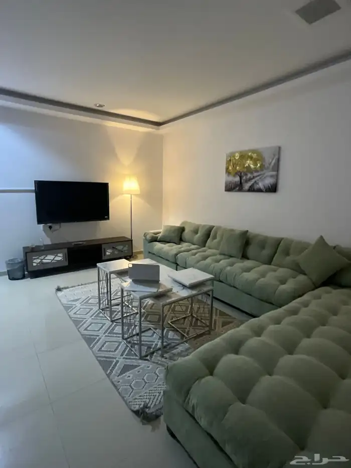 شقق للايجار الشهري مؤثثه بالمونسيه 11