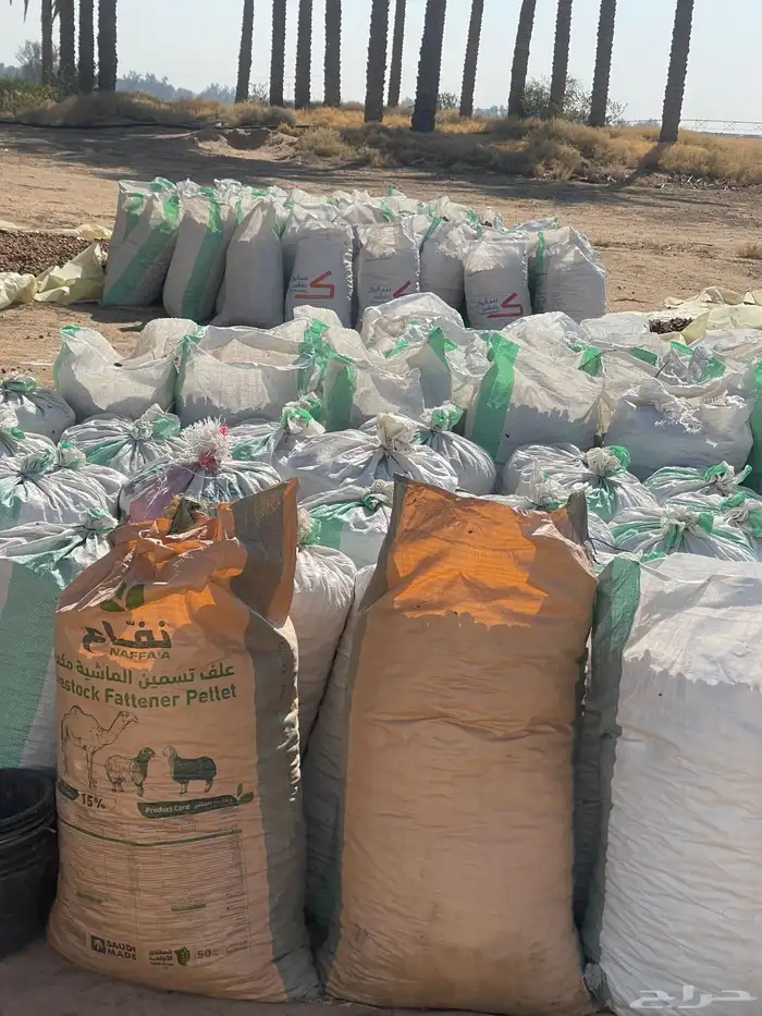 تمر علف عدد 250 كيس 0