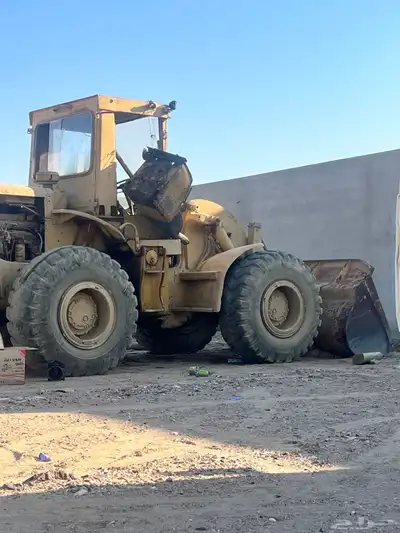 شيول 50 سي 81 index