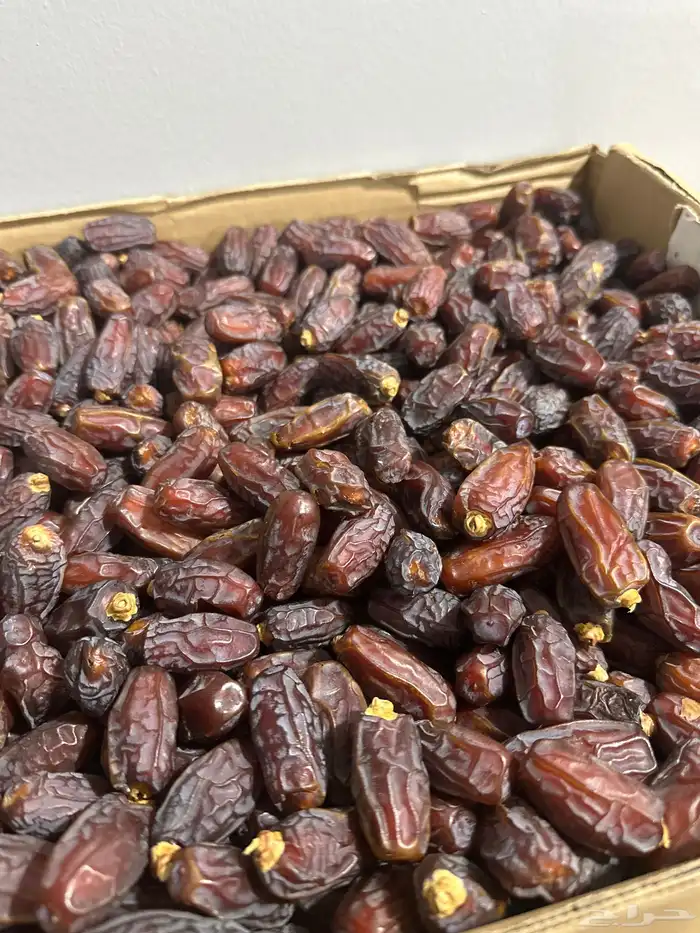 مبروم تمر مبروم فاخر للبيع. الكمية طن ونص. 2