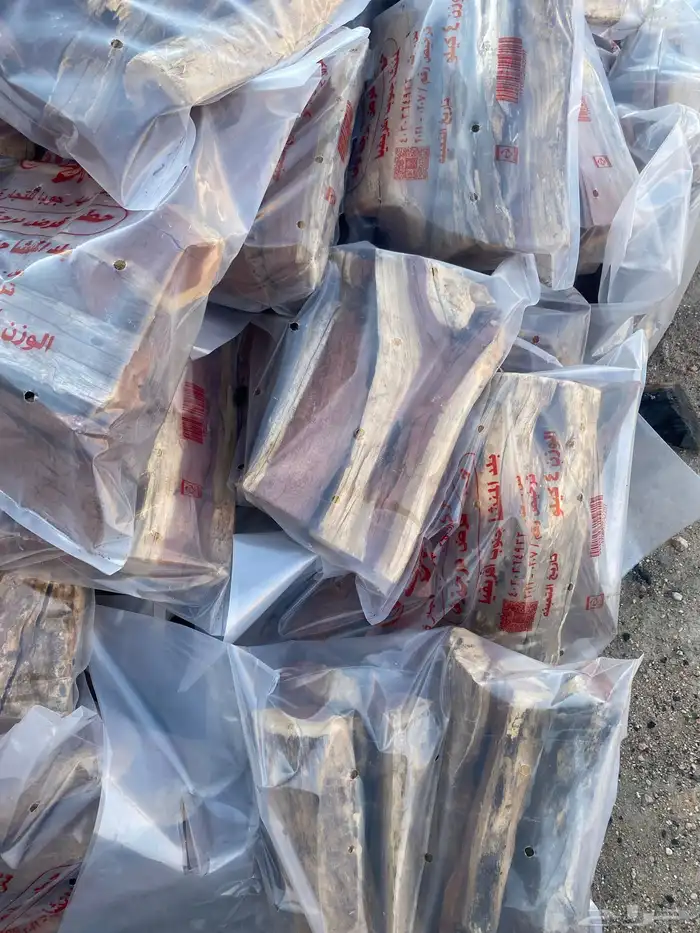 حطب افريقي كمية قليلة 2