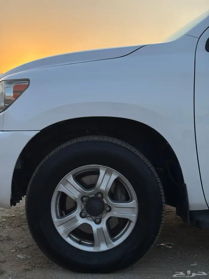 اسكويا 2013 23