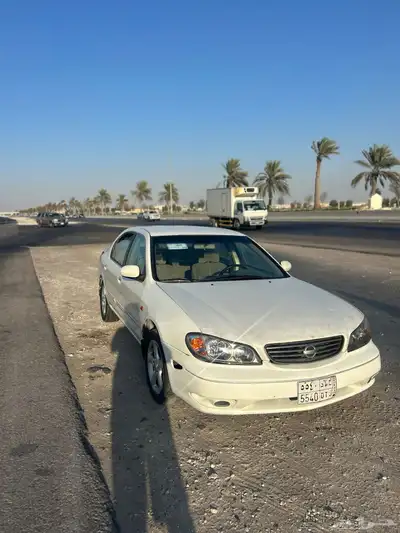 مكسيما 2008 index