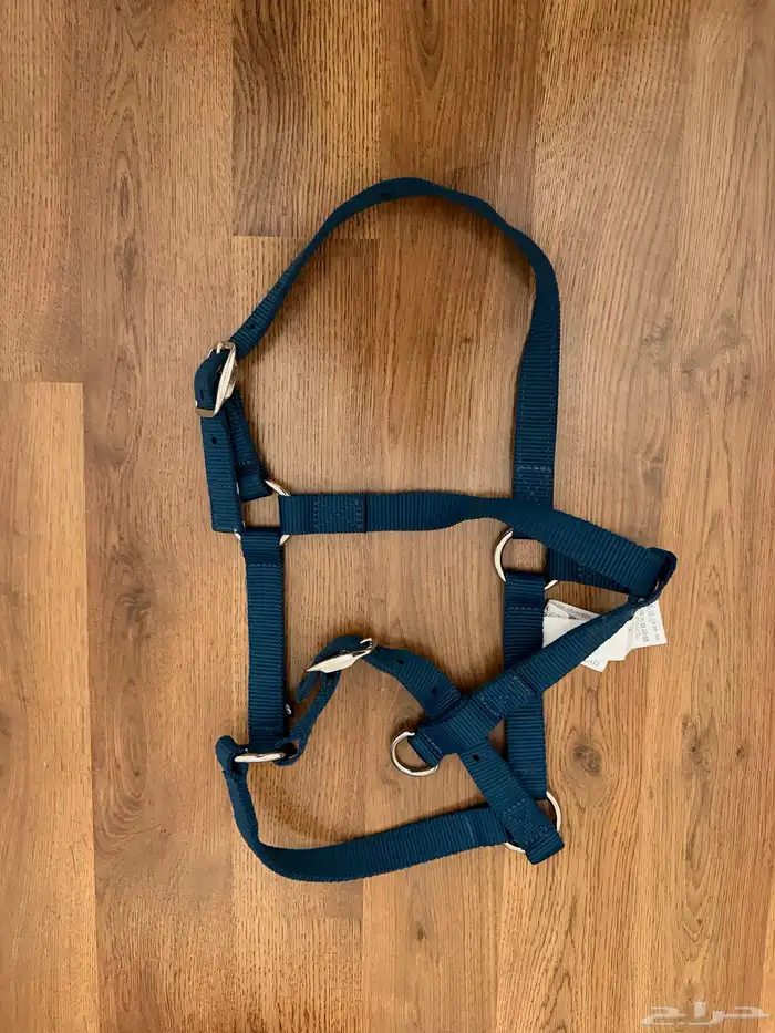 مستلزمات متورده للخيل 1