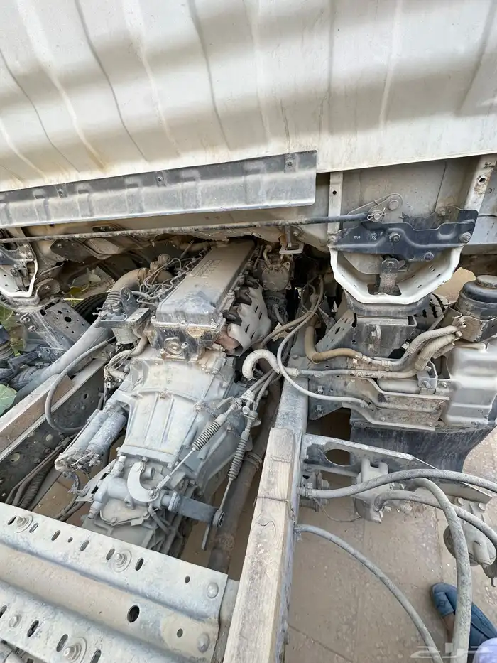 دنه ايسوزو 2008 5