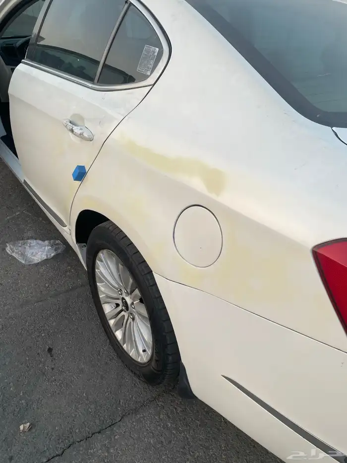 كادينزا 2015 11