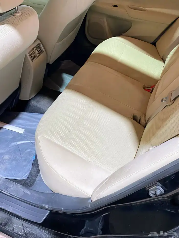 التيماء 2016 8