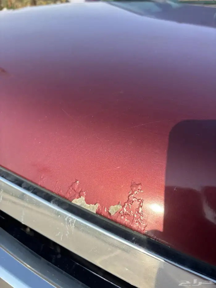 اكسبدشن لمتد2013 2