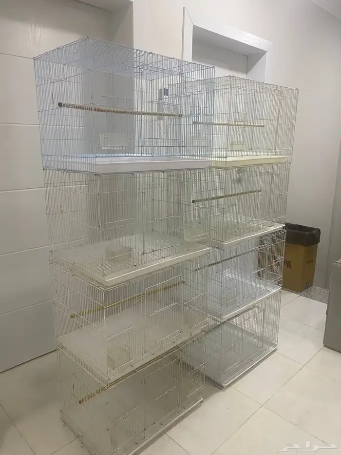 اقفاص قفص 601 0