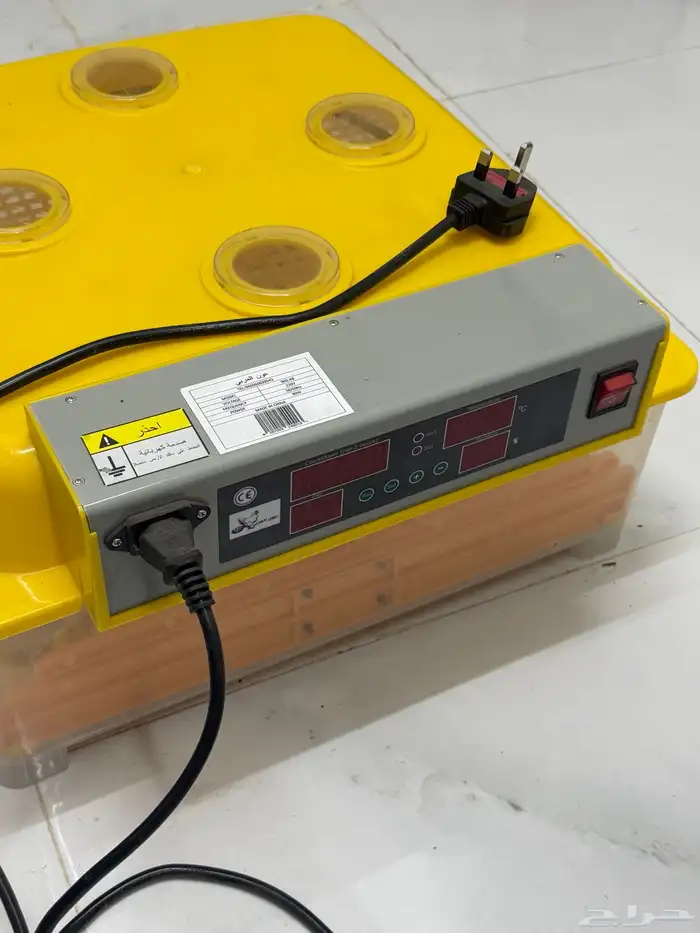 فقاسة بيض دجاج 1