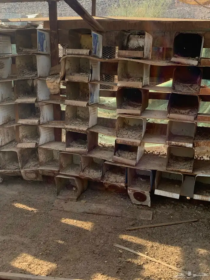 تنك حمام للبيع 1