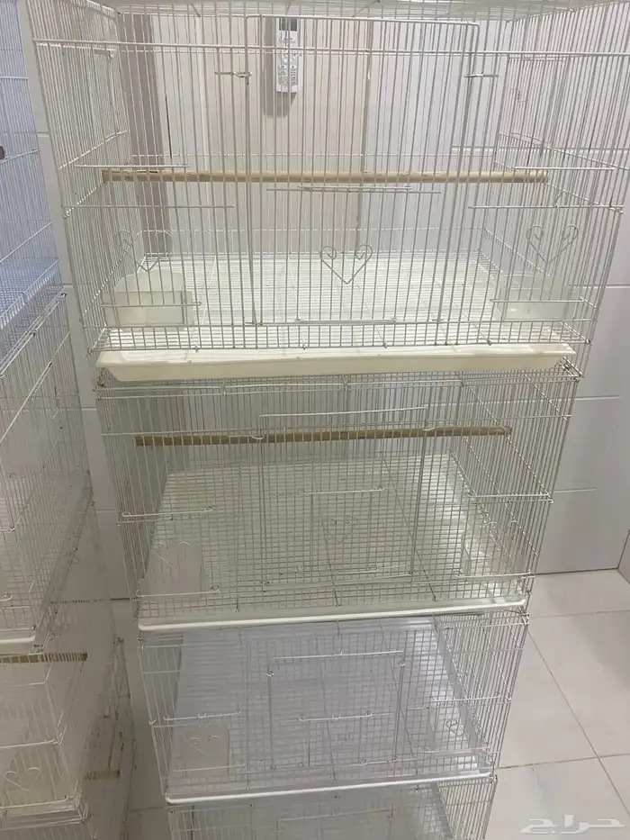 اقفاص قفص 601 2