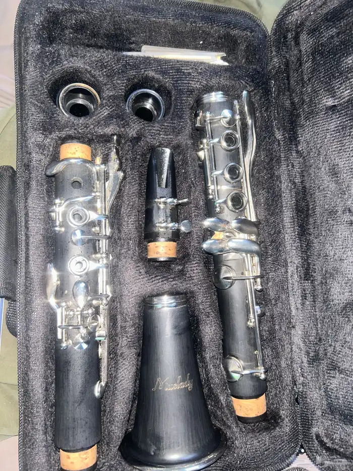 كلارينيت سيبي مول للبيع أو البدل 1