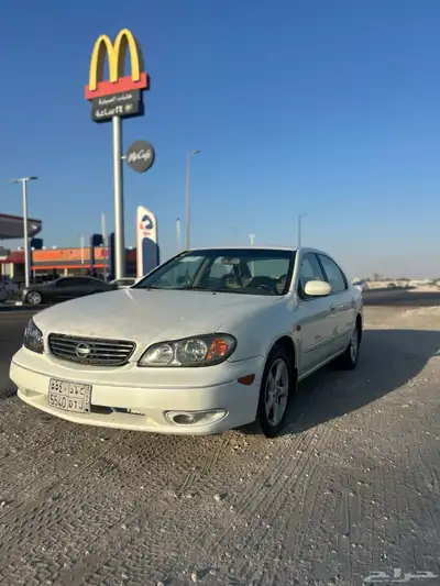 مكسيما 2008 index