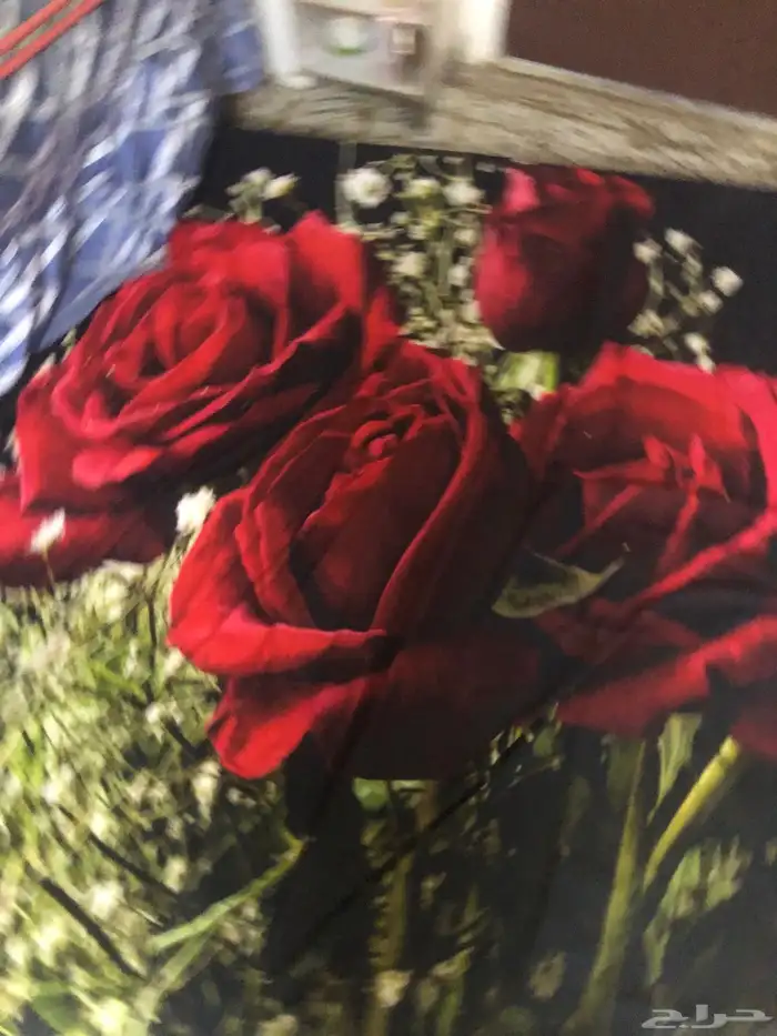 موقع جيزان الريان 0