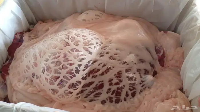 سواكن مرابي 3