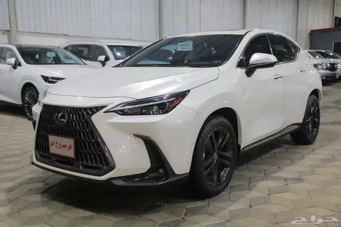 لكزس NX350 بنزين 2024 شبه الجديد 2
