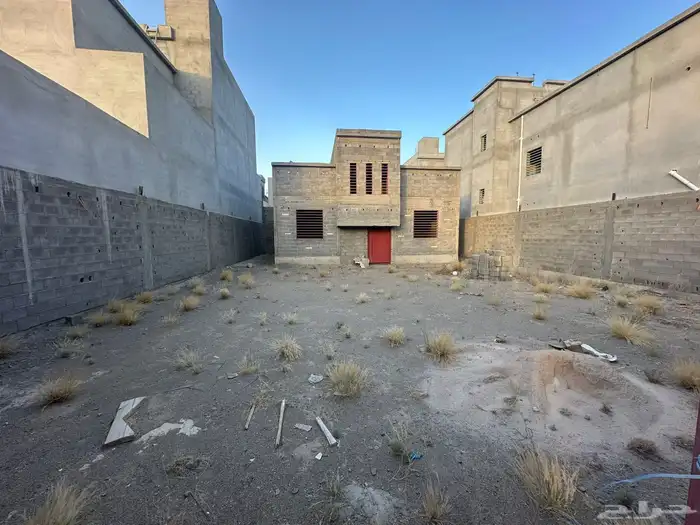 فلة عظم للبيع 2