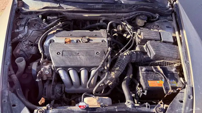 اكورد 2003 يحمل لوحه مميزه 13