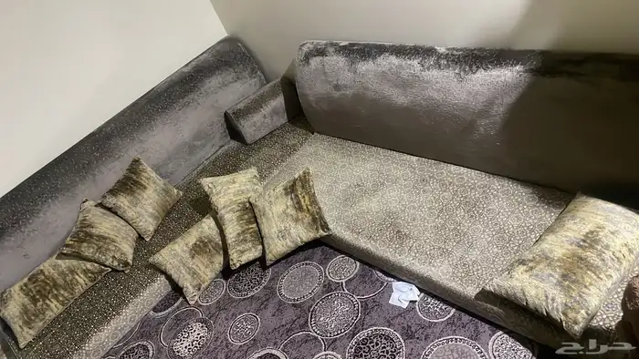 جلسه ارضيه 0