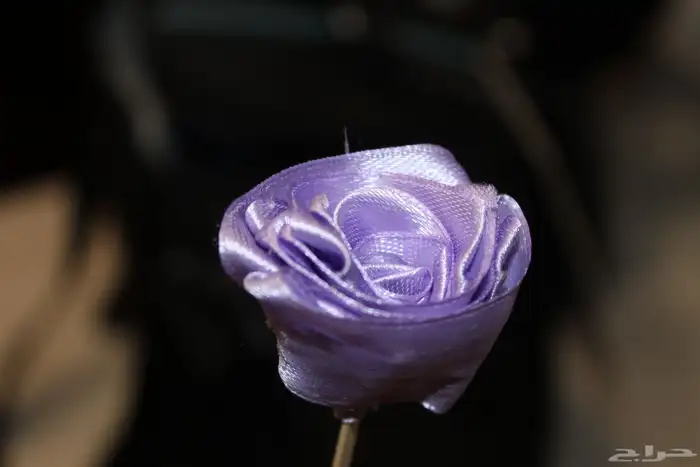 مصور سيارات محلات وغيره من اشياء 2