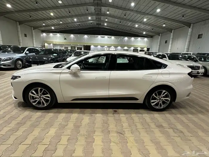 فورد تورس موديل 2023 ترند 5