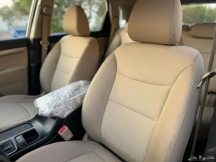 كيا سورينتو قمة النظافة 2015 18