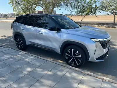 للتنازل بدون مقابل جيلي ستار راي 2024 index