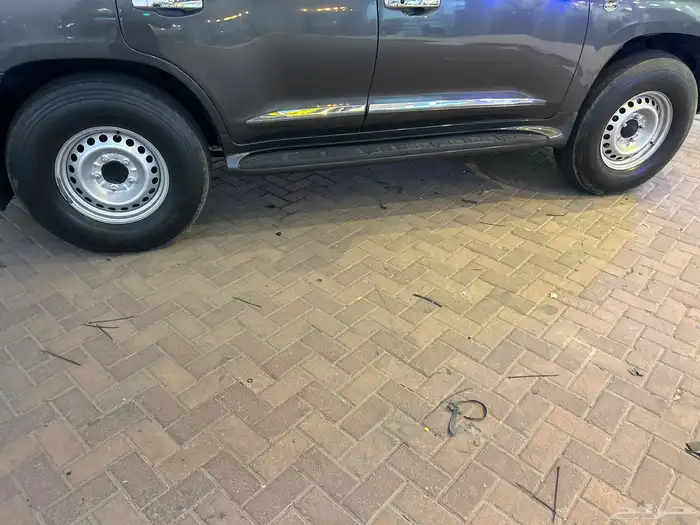 جنوط هلل وبوالين ماكسس ابو جمل 1