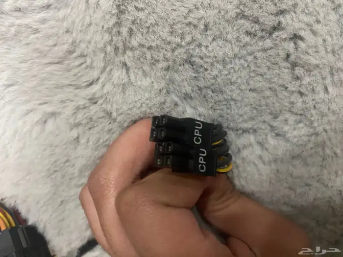 كرت شاشاه و بور سبلاي و اشاشه 6