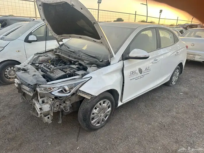 شانجان ال سفن مصدوم اربقات سليم 2023 2