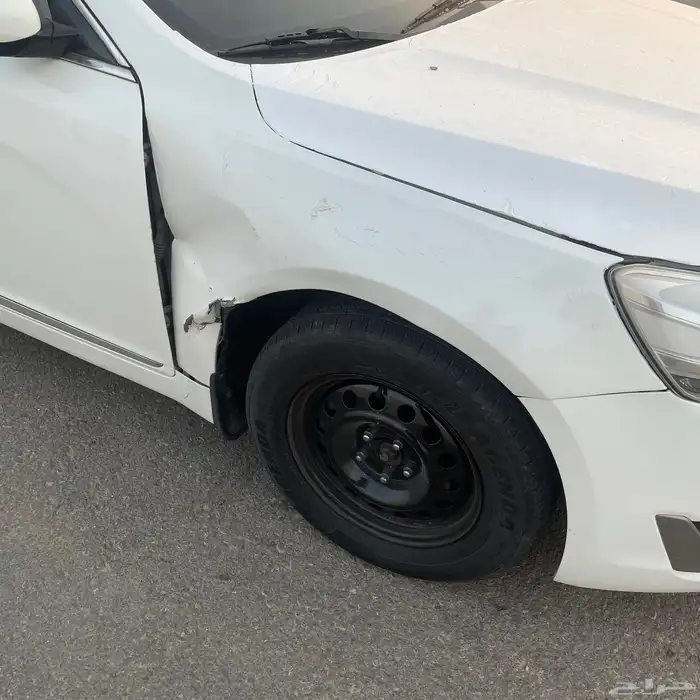 كادينزا 2015 6