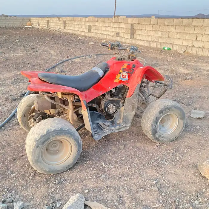 دباب سويدي 0